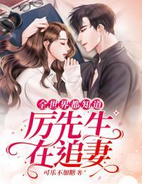 厉先生宠妻无限结局