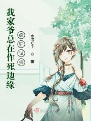 我家老爷是什么意思