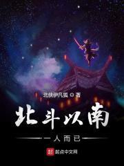 北斗以南一人而已对应的句子