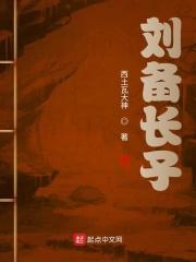 刘备长子免费阅读全文