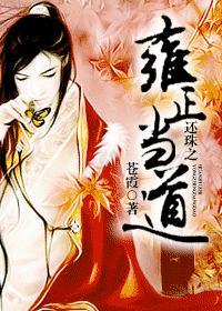 还珠之雍正来了格格党