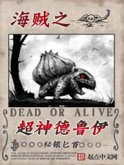 海贼之超级神僧