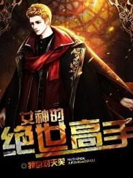 女神的绝世高手免费播放